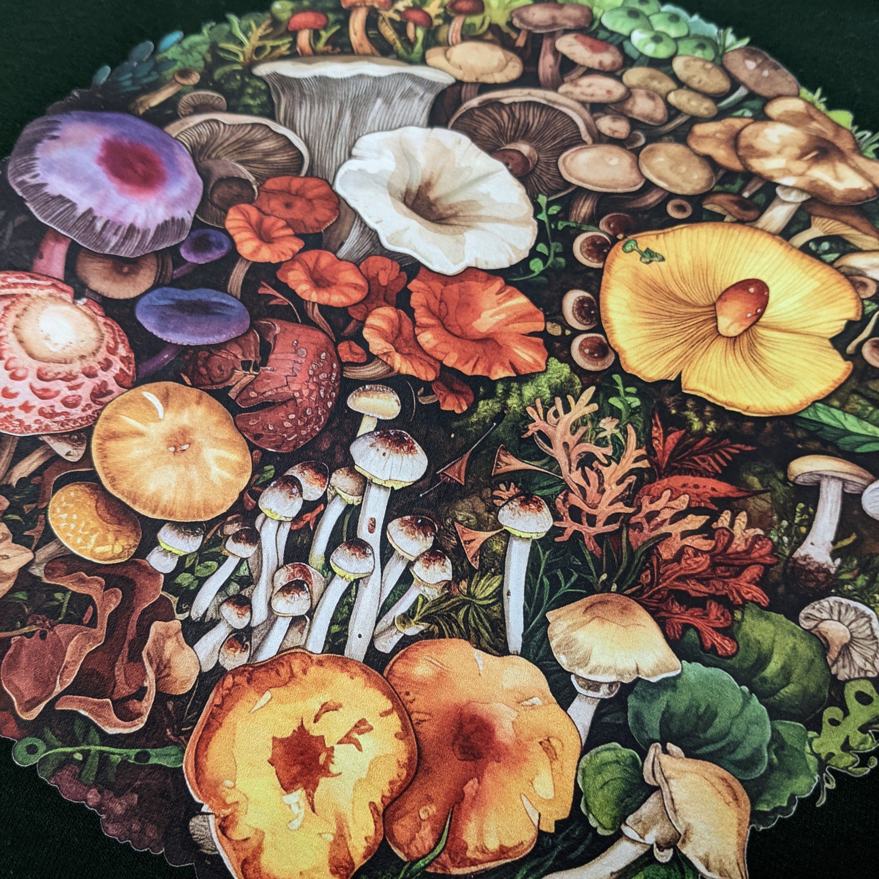 Forest Green Mushrooms Crewneck