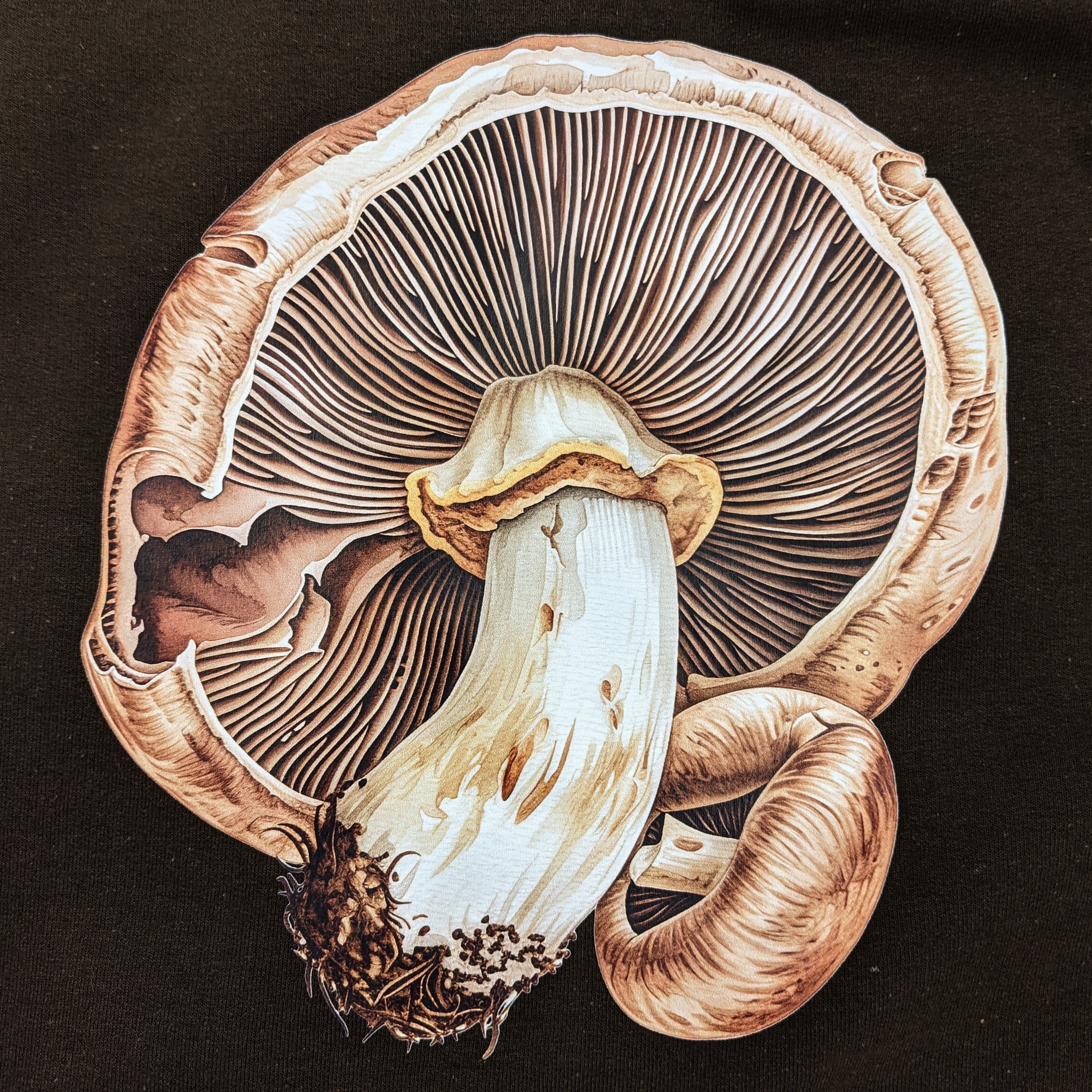 Dark Brown Mushrooms Crewneck